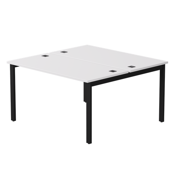 Бенч-система на 2 места Everprof EVO на металлокаркасе 1380х670(1370)x755