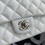 Chanel Flap 25 cm