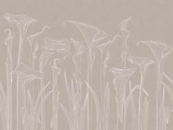 Коллекция ArtLine