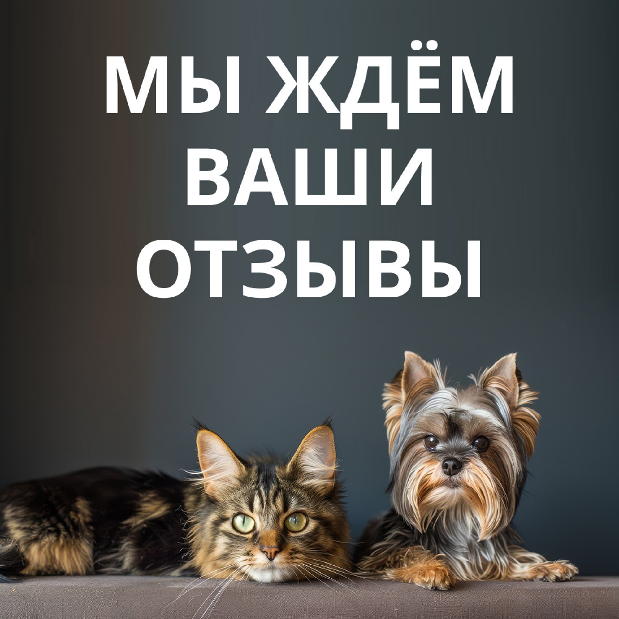 Отзывы