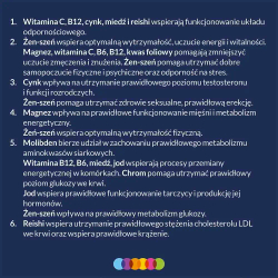 Vigor Multivitamin ON 50+ - 90 таблеток