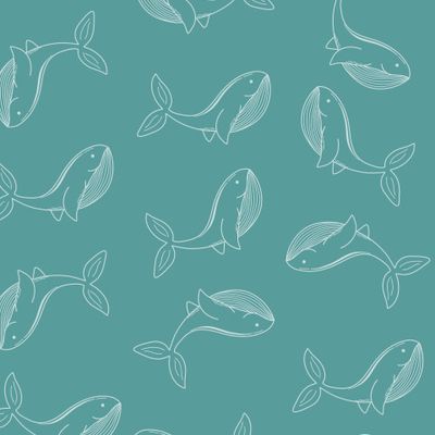 Киты. Подводный мир, морские обитатели