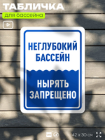 Табличка для бассейна "Неглубокий бассейн, нырять запрещено", на пляж, для общественной и частной зоны отдыха, информационная, 40х30 см, Silver Plane x Айдентика Технолоджи