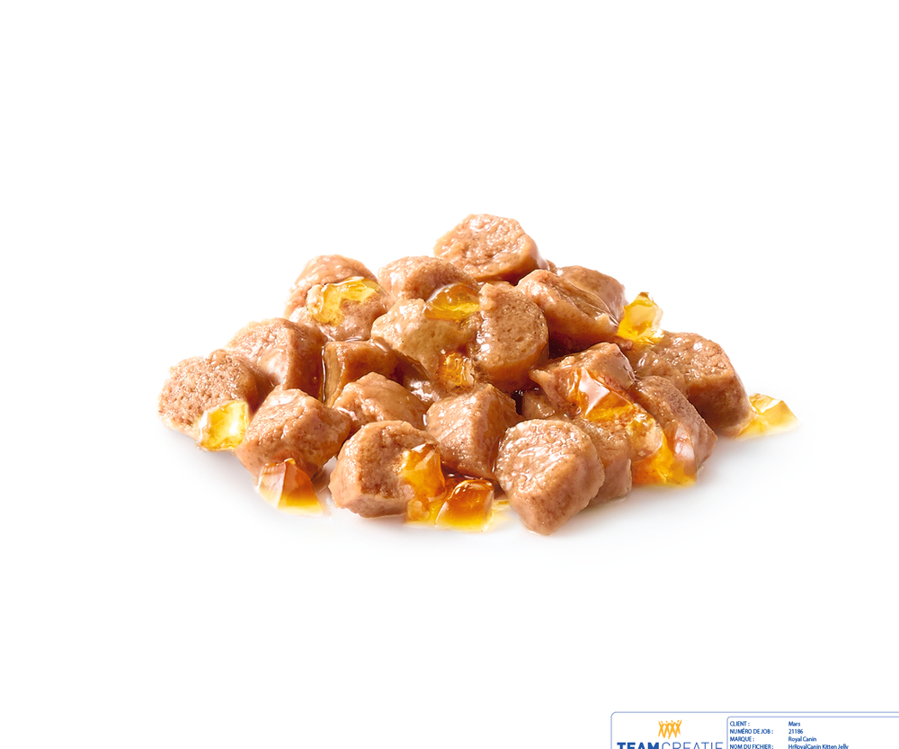 Влажный корм Royal Canin Kitten Sterilised для стерилизованных котят, в желе, 24 шт x 85 г