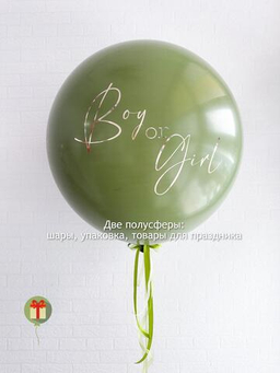 Гендер-пати