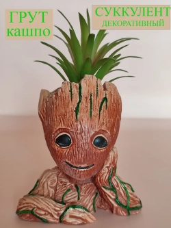 Кашпо органайзер Грут с суккулентом