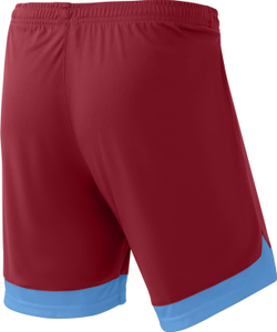 Шорты игровые DIVISION PerFormDRY Union Shorts, гранатовый/голубой/белый