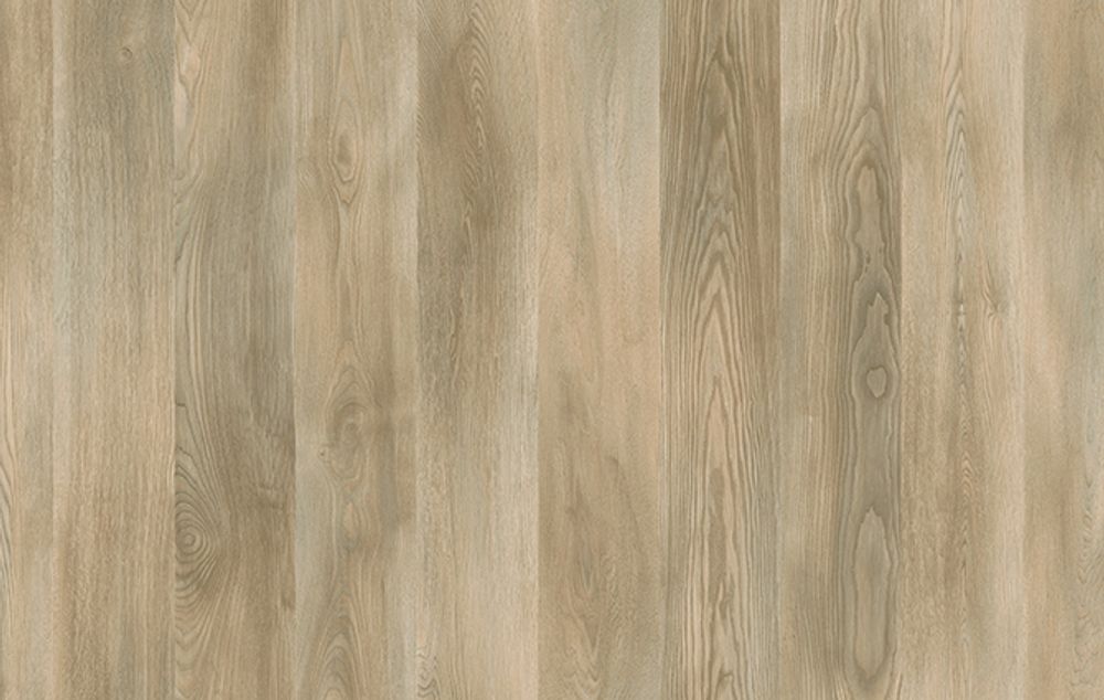 Marco Polo Premium Labrador, 1,355 м²