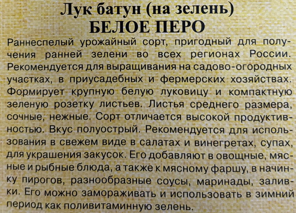 Лук  на зелень Белое перо 0,5 г СМЗ-28