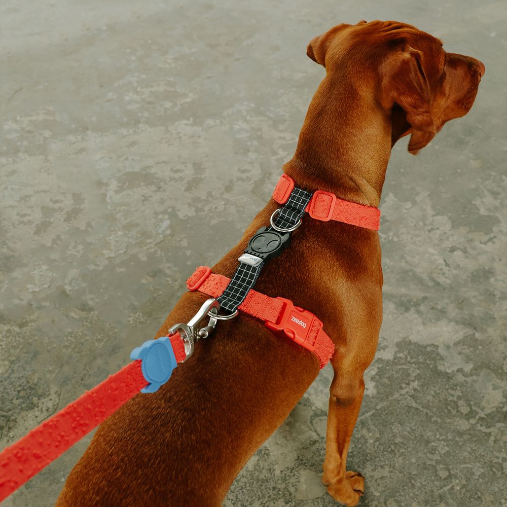 Поводок GRID 120 см Zee.Dog