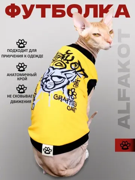 Одежда для кошек сфинкс