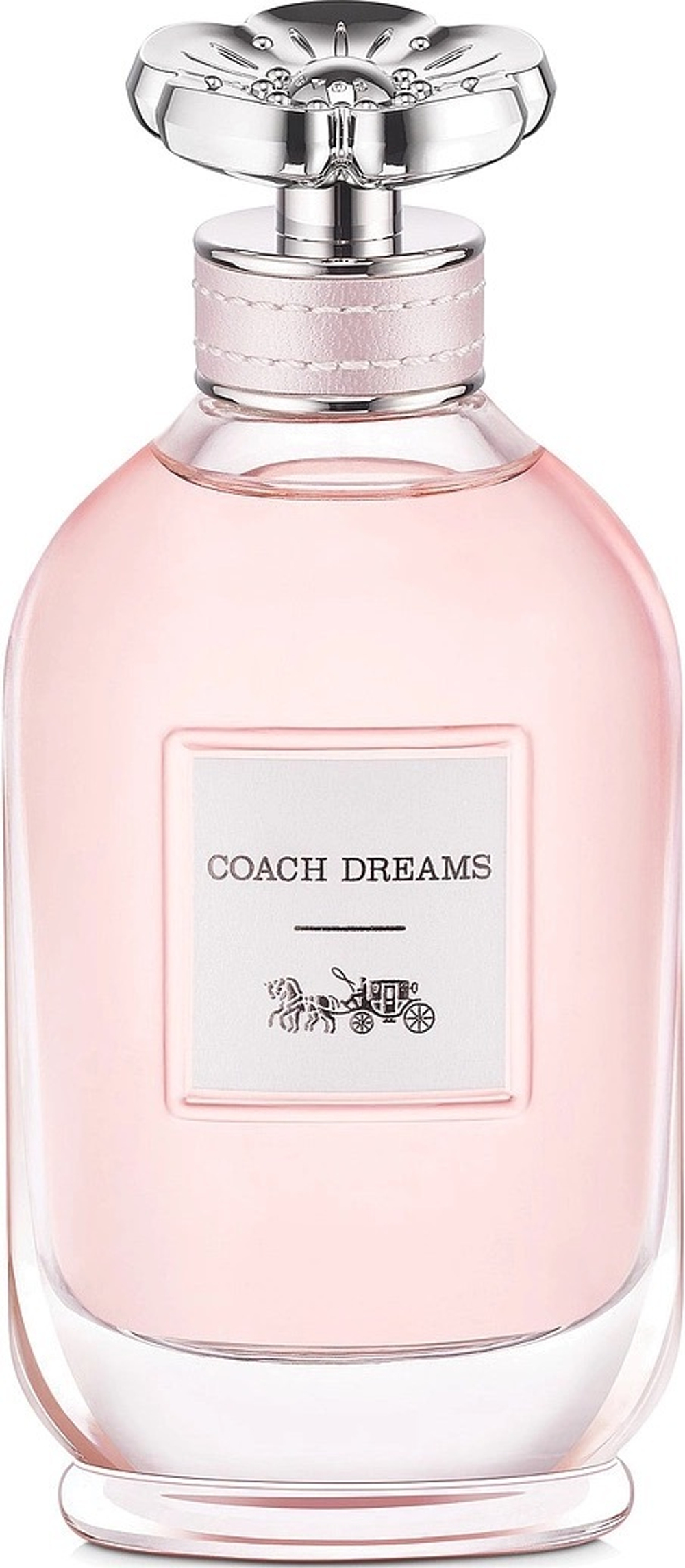 Coach Dreams