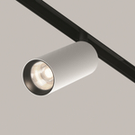 Магнитный трековый светильник Maytoni Artisan TR097-2-12W4K-M-BW