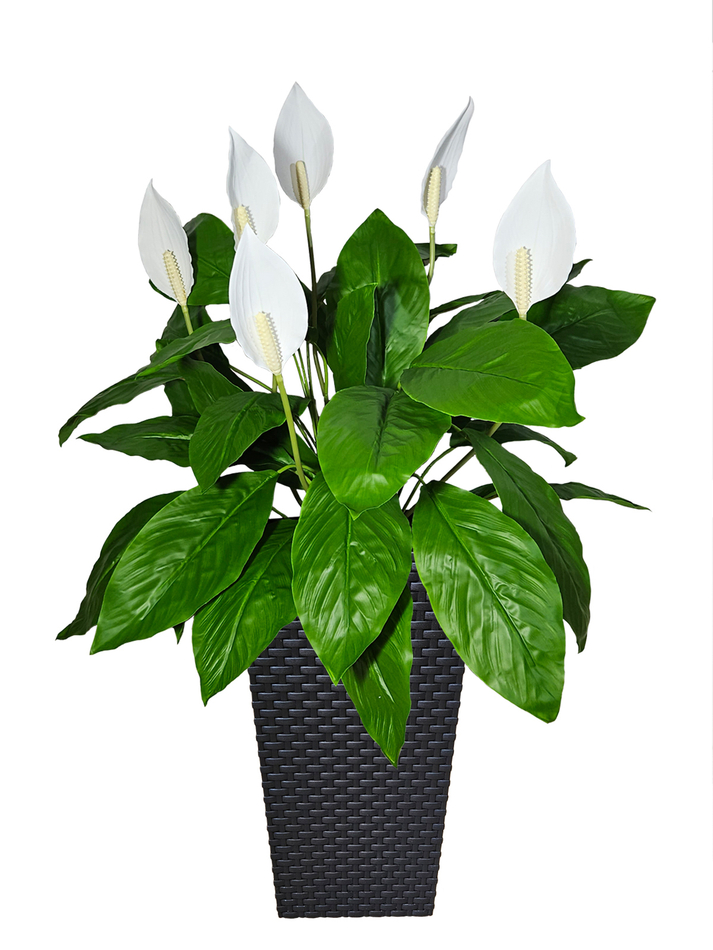 Искусственные цветы Спатифиллум в коричневом кашпо ротанг 41см