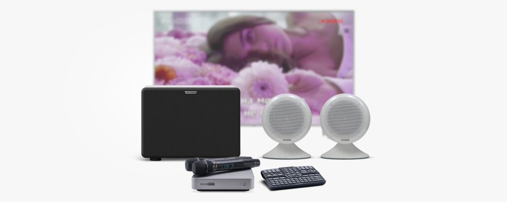 Evolution EvoBox Plus с микрофонами и стереосистемой