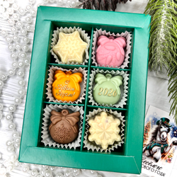 Шоколадный набор "С новым годом 2026": 6 конфет ручной работы