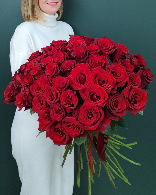 Роза красная 51 шт Эксплорер(00154)