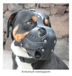 НАМОРДНИК КОЖАНЫЙ "БОЕВОЙ"