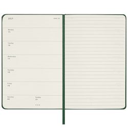 Еженедельник Moleskine WKNT Large зеленый (DSK1512WN2) 3