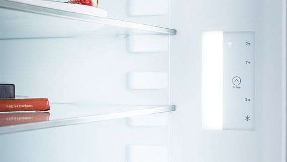 Холодильник Liebherr Re 1401-20 001