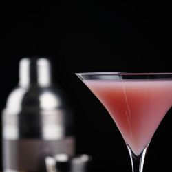 Рюмка коктейльная 165 мл "Martini" d 10,2 см h19 см Cocktail Week P.L. [6]