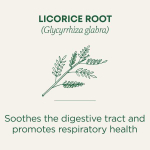 Traditional Medicinals, корень органической солодки, без кофеина, 16 чайных пакетиков, 24 г (0,85 унции)