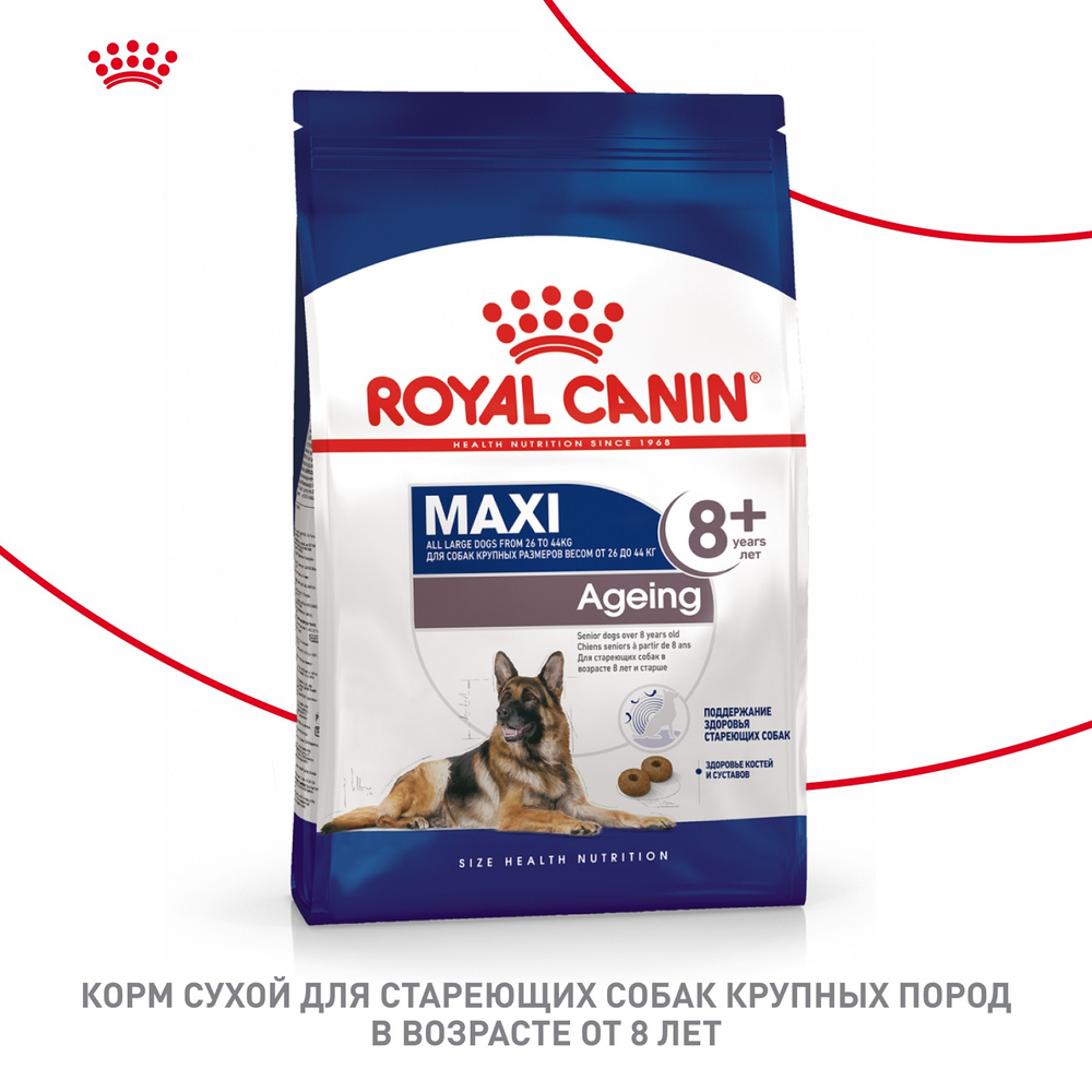 Royal Canin Maxi Ageing 8+ Макси Эйджинг Корм сухой для стареющих собак крупных пород старше 8 лет 3кг