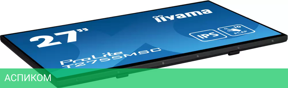 Портативный монитор Iiyama ProLite T2755MSC-B1