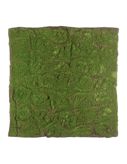 Мох полотно (30.0312011L) 100 х100 см 4/4 20.03180277L