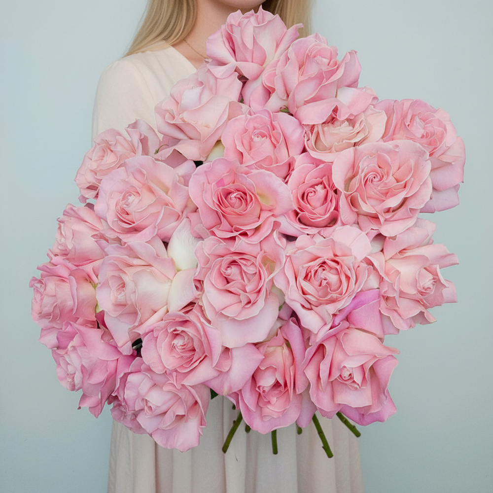 25 французких роз Эрмоза