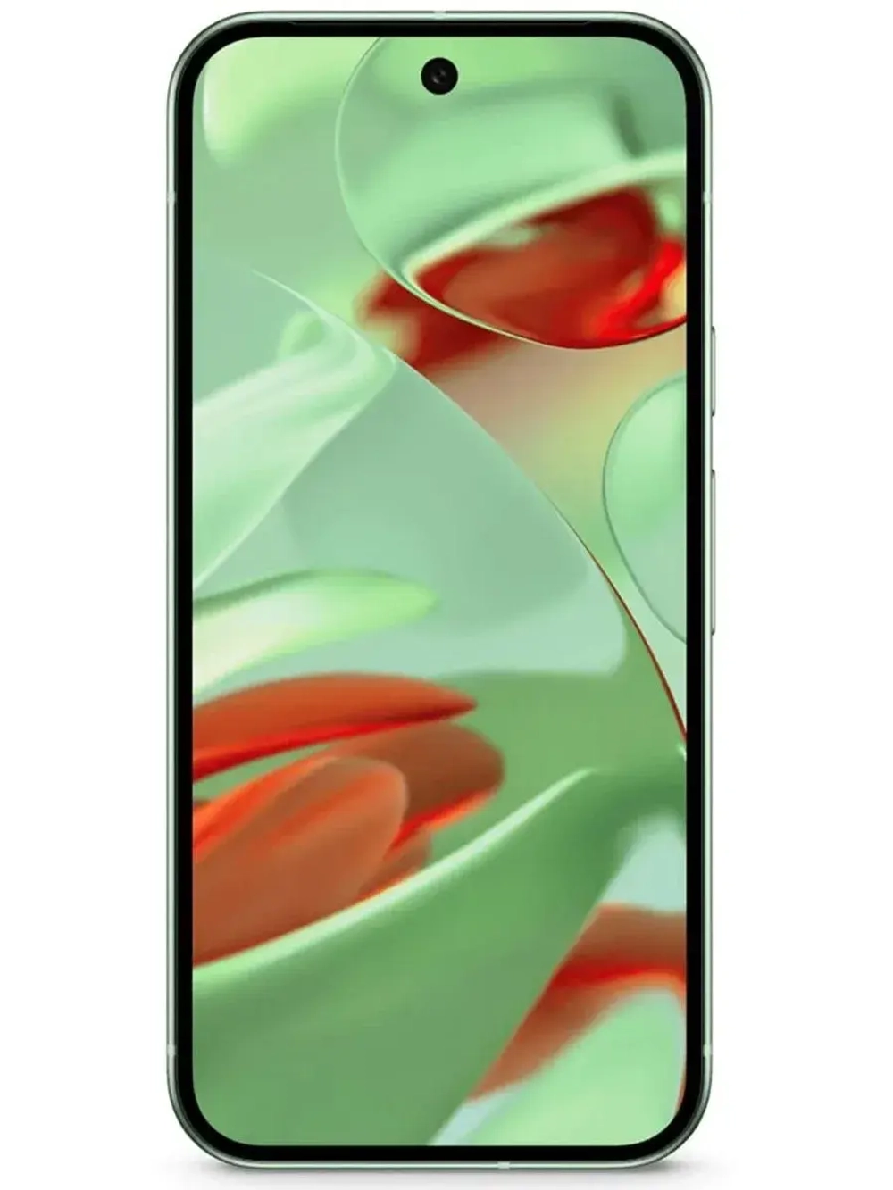 Смартфон Google Pixel 9 12/256GB, Wintergreen