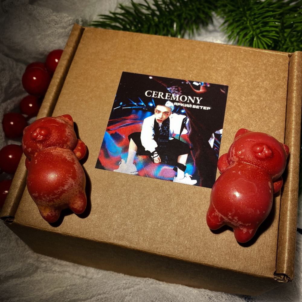 Мелтс котики Stray Kids - "Ceremony"