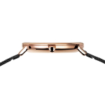 Наручные часы Bering 15729-166