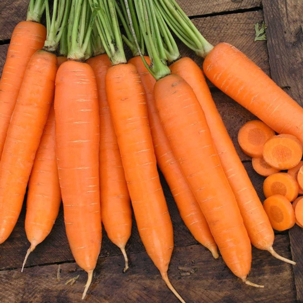 Сиркана F1 семена моркови нантской (Nunhems / ALEXAGRO) культура