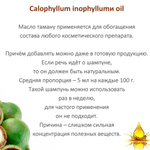 Масло таману / Calophyllum inophyllumи oil