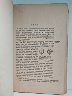 Природоведение. Учебник для школ I ступени. Ботаника