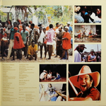 Mick Fleetwood / The Visitor (LP)
