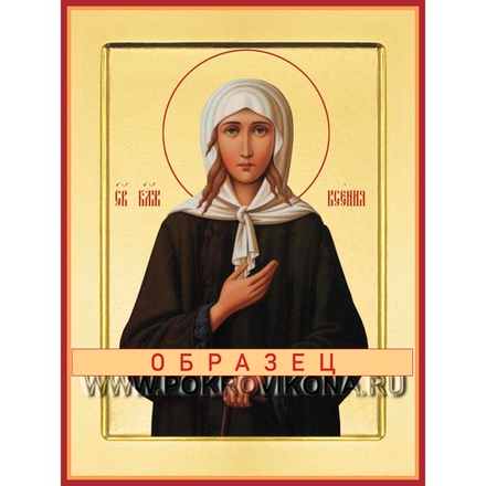 Святая блаженная Ксения Петербургская Св-170