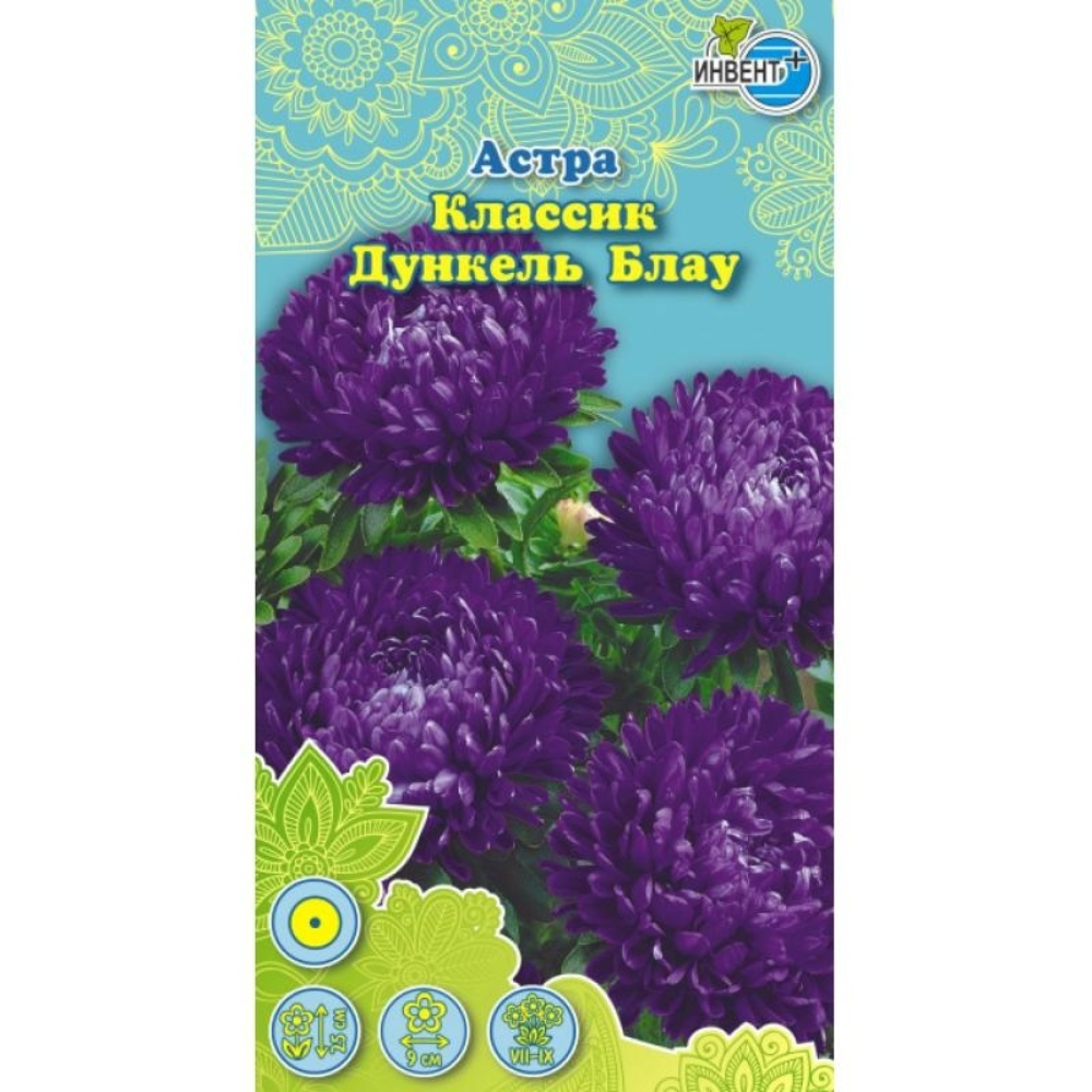 Семена Астра Классик Дункель Блау Инвент +