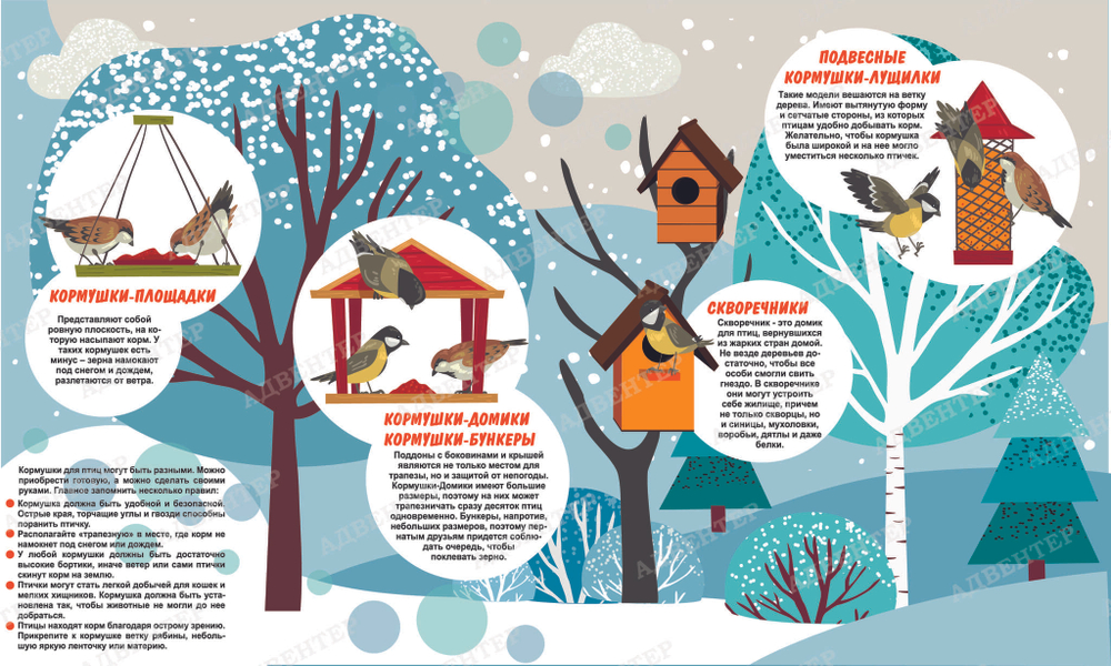 Уличный магнитный стенд Виды кормушек с крышей 1720