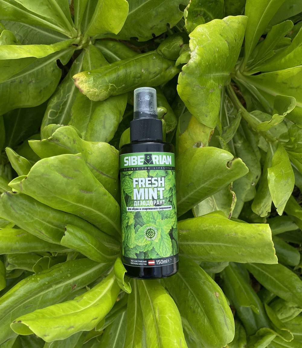 Дезодорант для обуви FRESH MINT