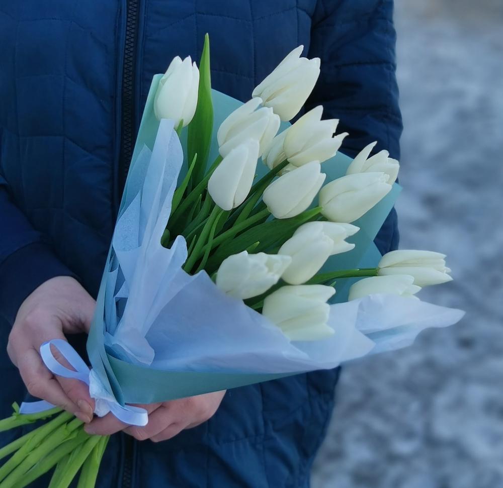 15 тюльпанов в упаковке