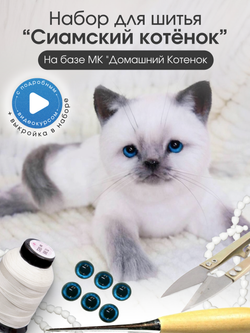 МК с набором для шитья "Реалистичный сиамский котенок"