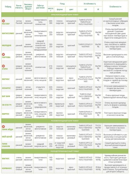 Пинк айди F1 семена томата Seminis отзывы