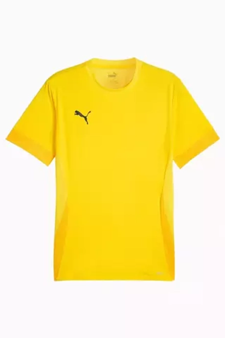 Футболка Puma teamGOAL Matchday