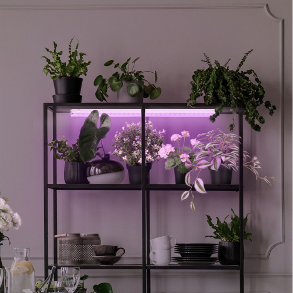 Светильник для растений, фитолампа светодиодная линейная ЭРА LLED-05-T5-FITO-9W-W розового свечения 9 Вт