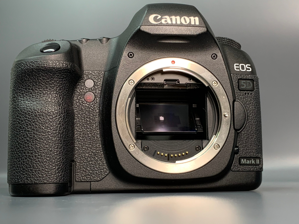 Canon 5D Mark II 19.000 кадров