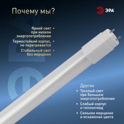 Лампа светодиодная ЭРА STD LED T8-10W-865-G13-600mm 10Вт трубка стекло холодный дневной свет G13 поворотный | Лампы cветодиодные Линейные  (T8)