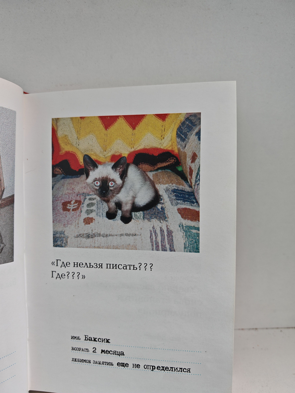 Осторожно, вредная кошка