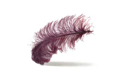 Перья декоративные